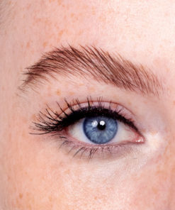 5043 Carolina detalj