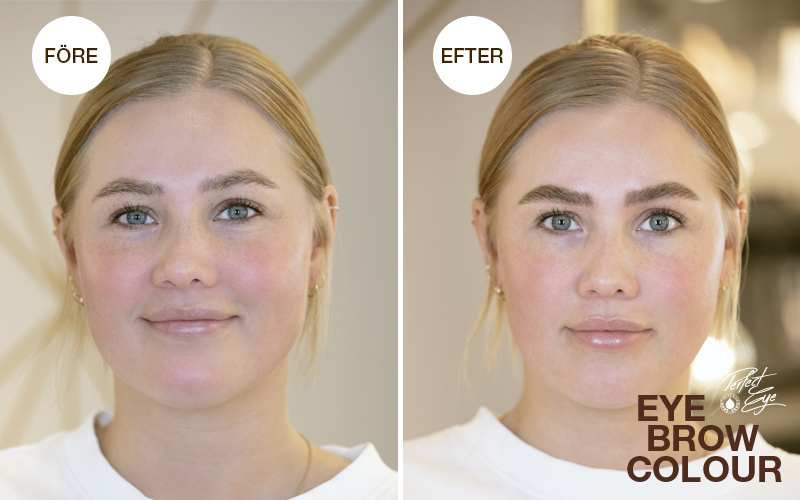 Eyebrow Colour brynskola forsattsblad