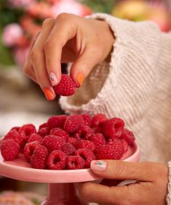 Picnic like you mean it 2