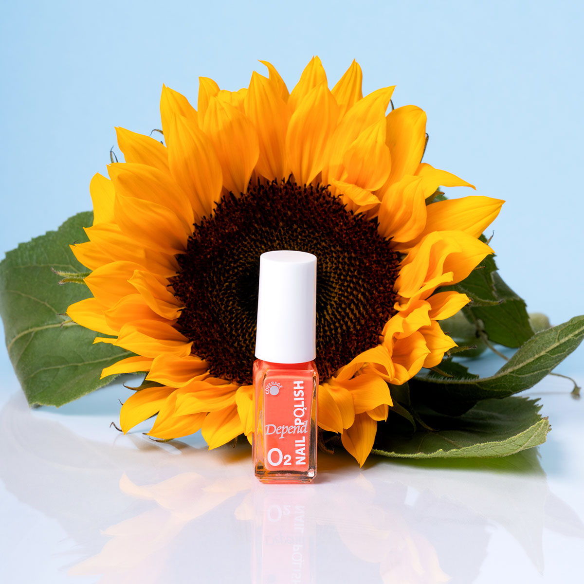 Whispers of Wonderland 12