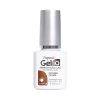 29101155 Gel iQ