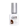 29101160 Gel iQ